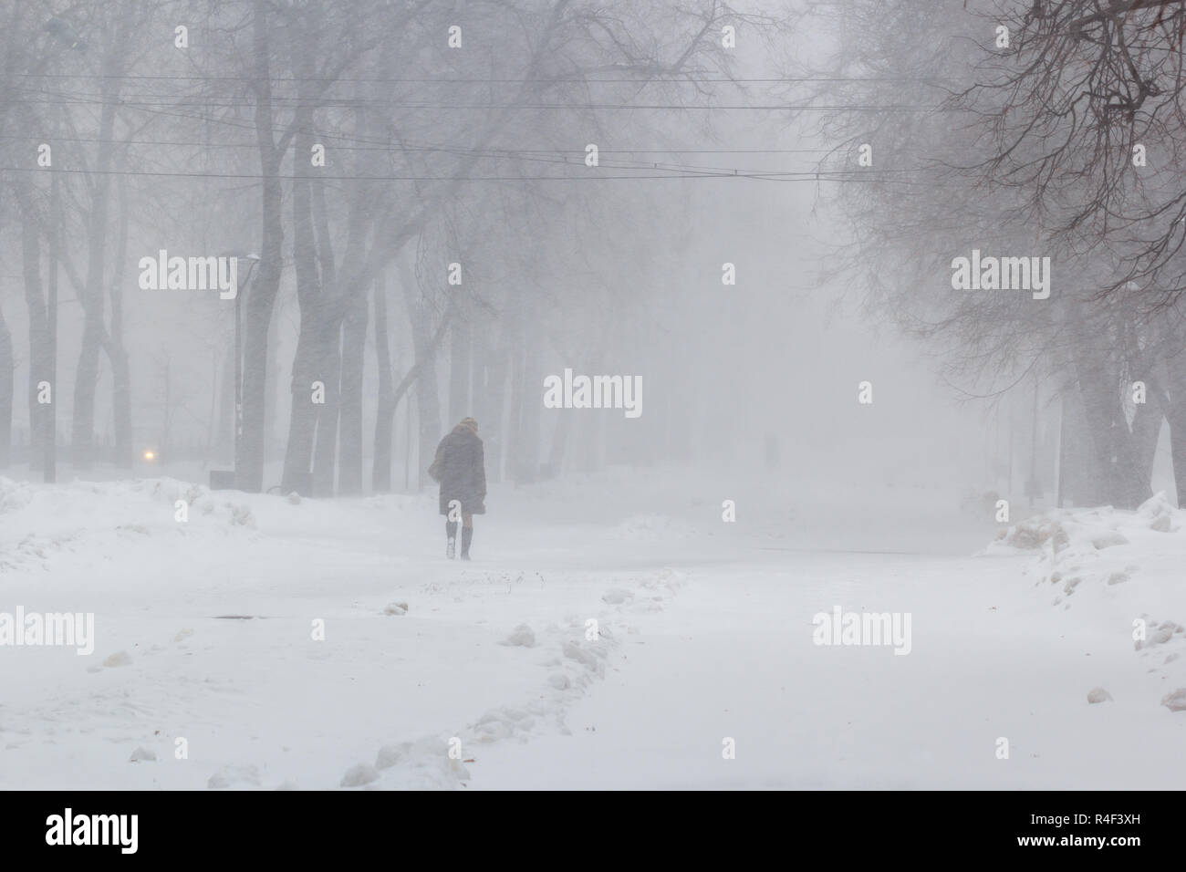 A woman is walking in a park in winter blizzard Stock Photo