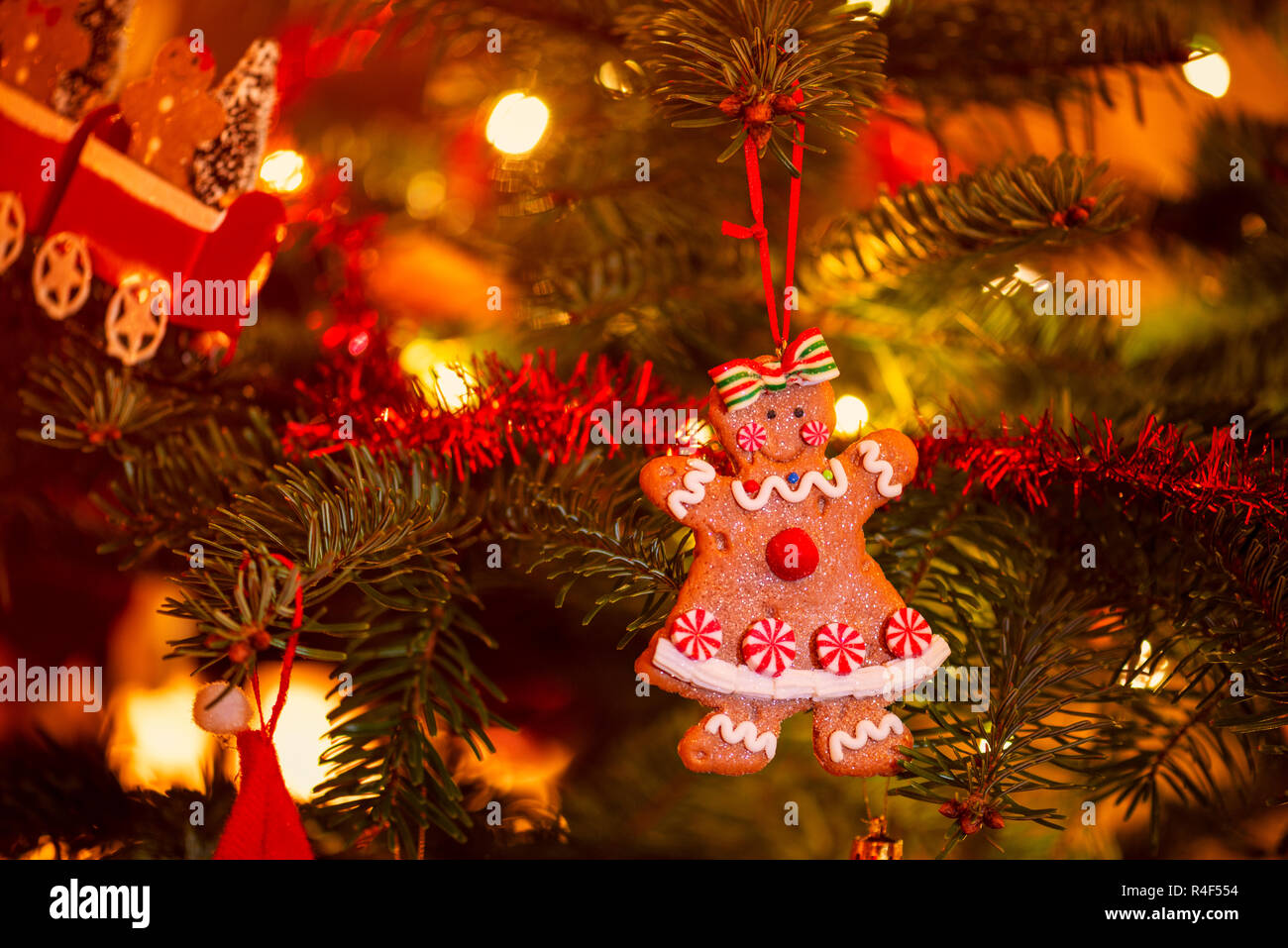 Gingerbread Cookie hanging in Christmas Tree Stock Photo