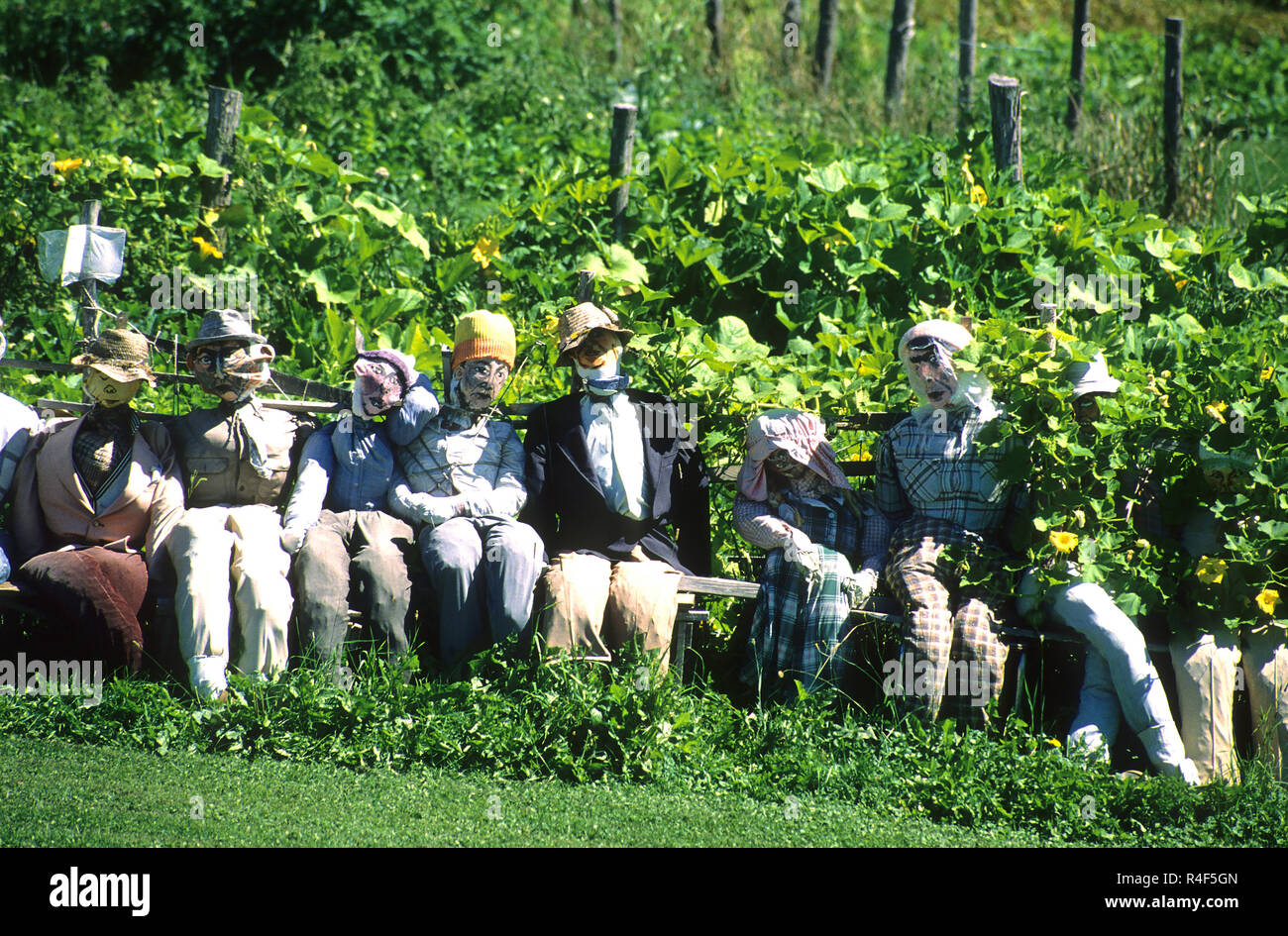 Scarecrows front a garden in northern Maine, USA Stock Photo