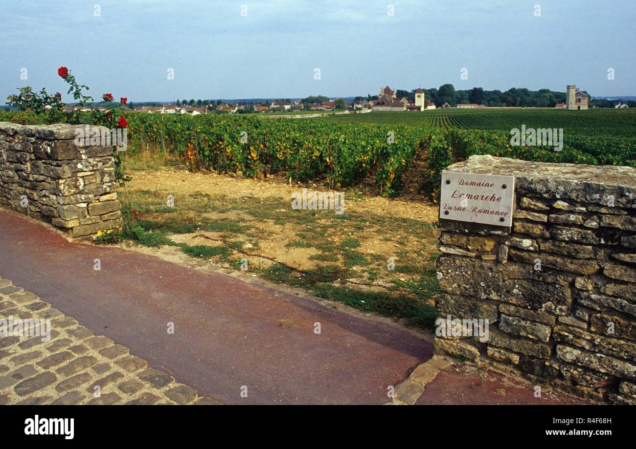 Burgundy vineyard Domaine Lamarche, France Stock Photo Alamy
