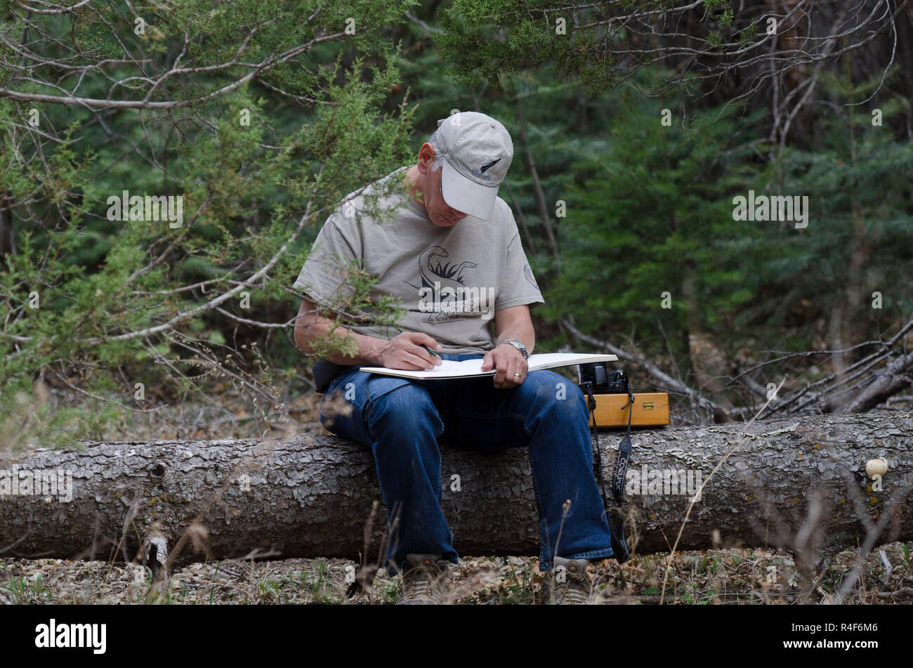 Man sitting on log in the wilderness sketching on a pad in the Sandia Mountains near Albuquerque New Mexico Stock Photo