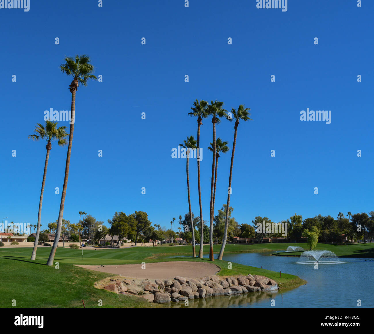 Water fountains and Palm Trees in Maricopa County, Glendale, Arizona