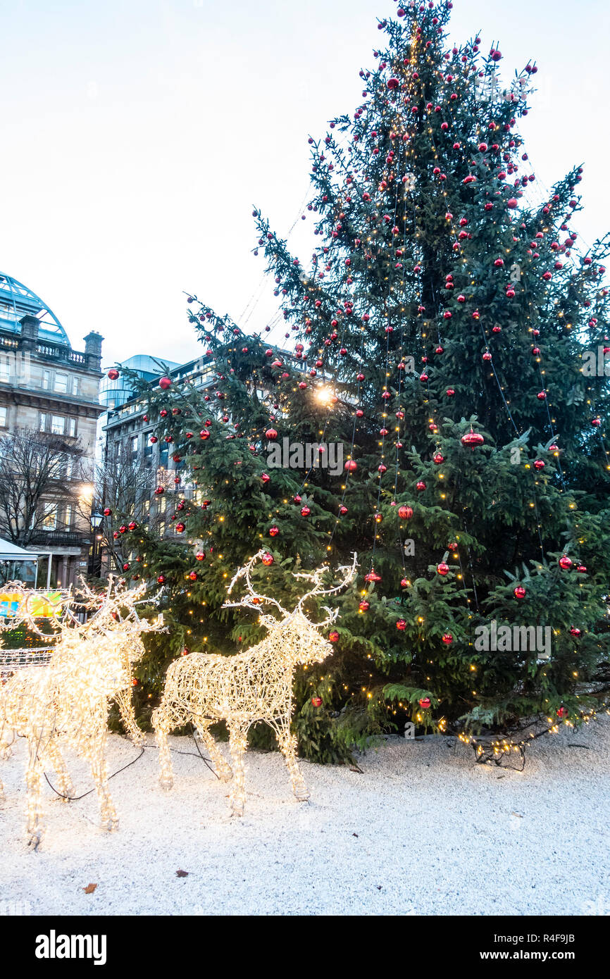Glasgow's main Christmas Tree with reindeer in Square in the