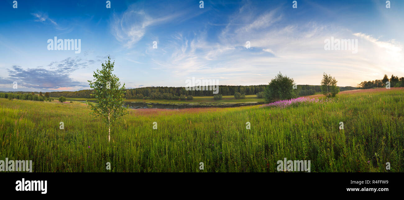 Panorama of green field with a tree on blue sky background Stock Photo ...