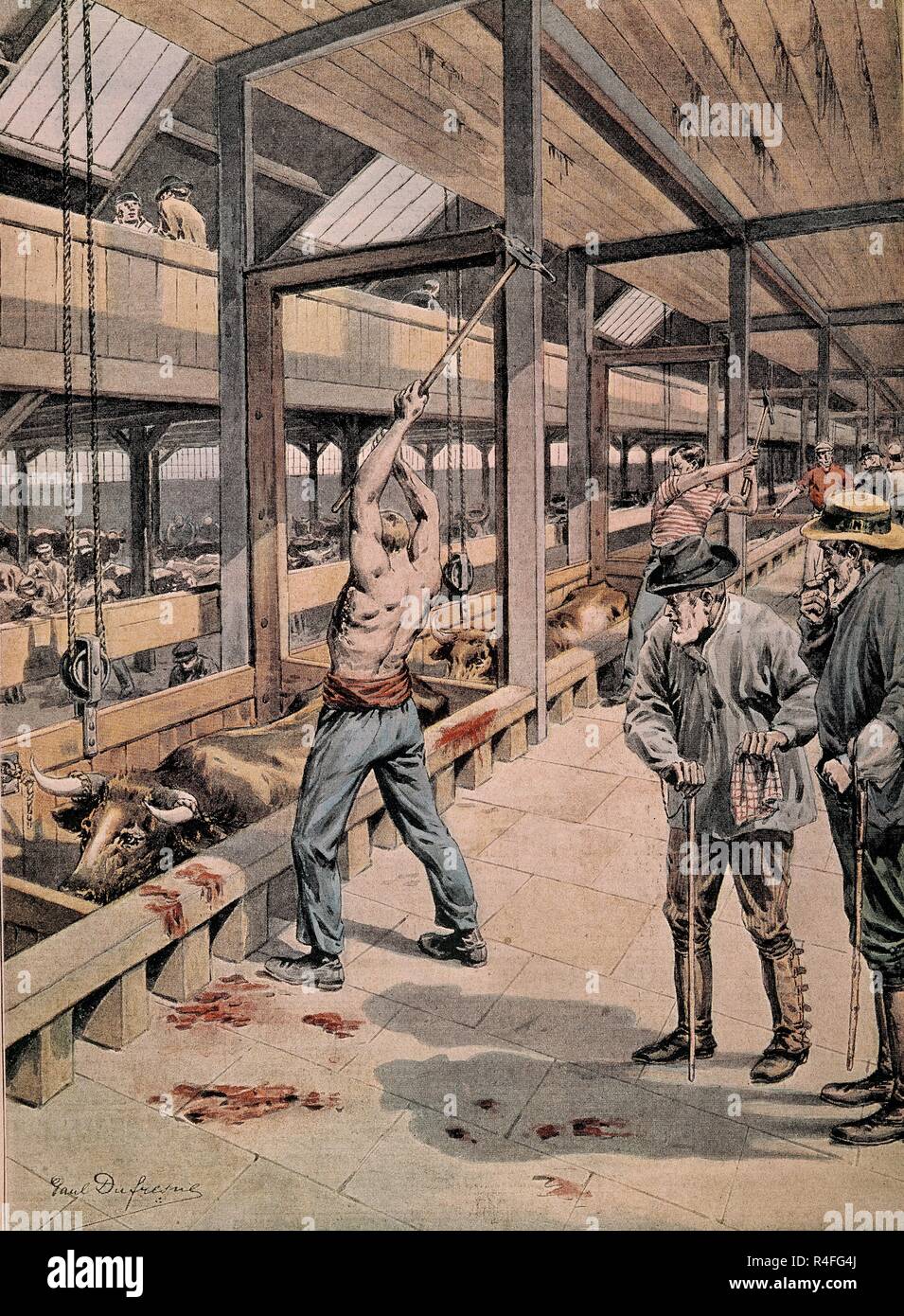 Slaughterhouse chicago hires stock photography and images Alamy