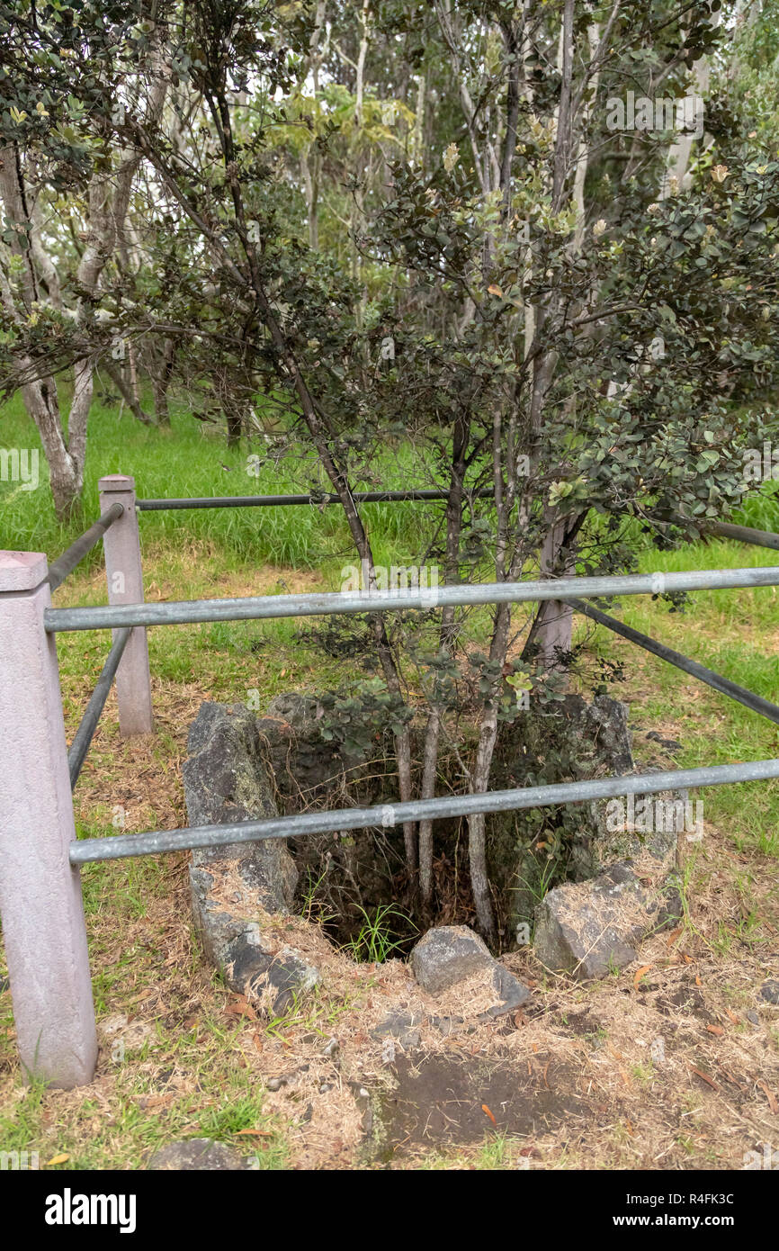 Hawaii Volcanoes National Park, Hawaii A tree mold, created when