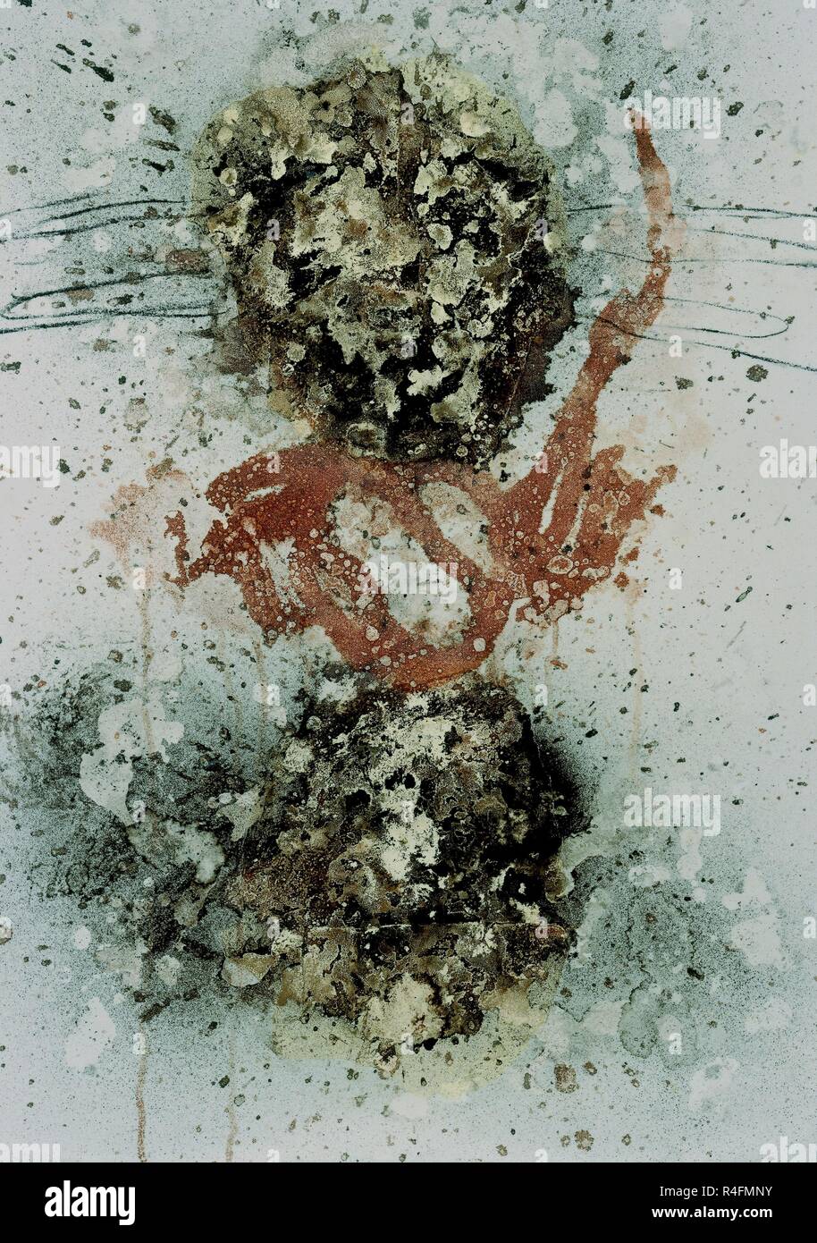 Identificar hires stock photography and images Alamy