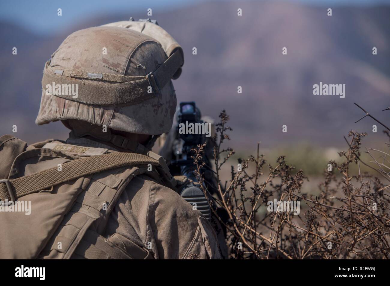 Pfc. Rex Deleon, a scout rifleman with 1st Light Armored Reconnaissance Battalion, 1st Marine Division, takes up a firing position during a field exercise aboard Marine Corps Base Camp Pendleton, Calif., Oct. 25, 2016.  The exercise was held as part of a week-long Marine Corps Combat Readiness Evaluation. Marines undergo MCCREs to ensure combat readiness before deployments. This training allows Marines to become proficient and comfortable with their weapon systems and combat procedures in a realistic environment. Stock Photo