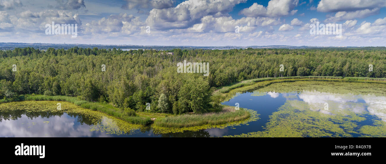 Summer time lake and green forest, white clouds over blue sky in Poland lanscape. Stock Photo
