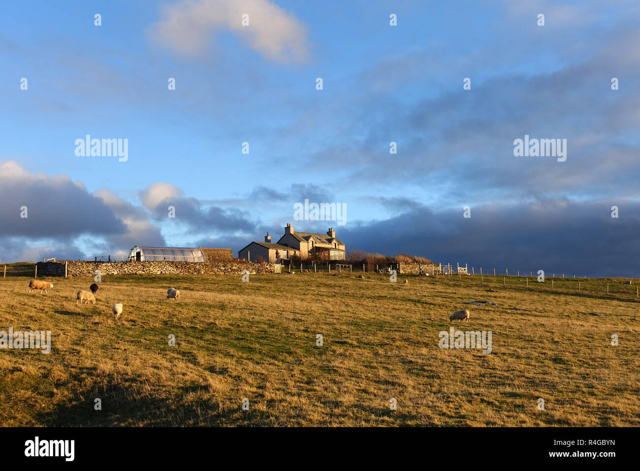 Low winter light in Hoswick Sandwick Shetland with homes around the