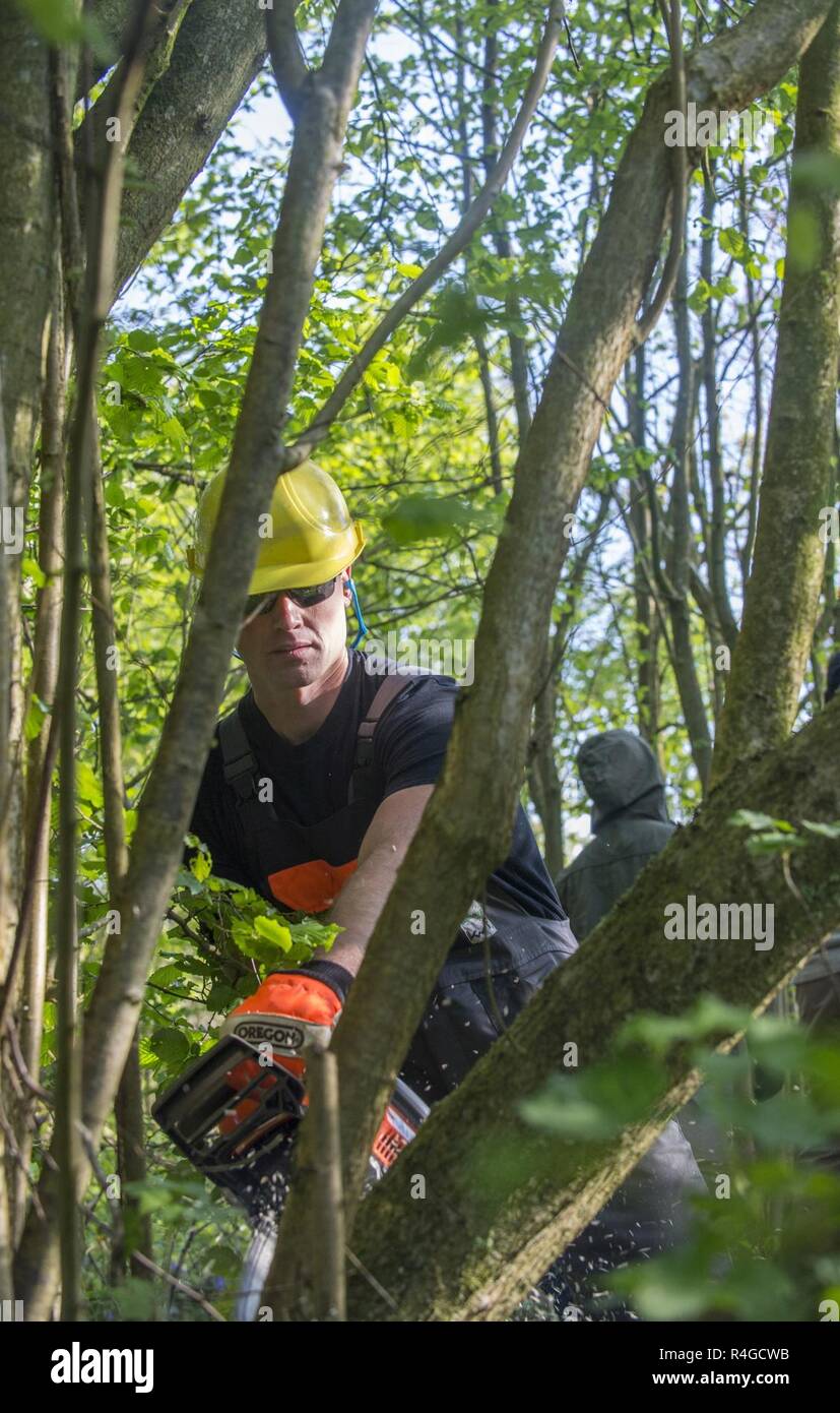 BOULOGNE SUR MER, France – U.S. Marine Corps Captain Gene Harb, a Defense POW/MIA Accounting Agency (DPAA) Team Leader, cuts downs tree branches to clear vegetation during a DPAA recovery mission in a forest near Boulogne Sur Mer, France on May 2, 2017. The DPAA team is in search of a U.S. Army Air Force Airman that tragically lost his life while flying his P-47D aircraft on October of 1943 during World War II. Stock Photo