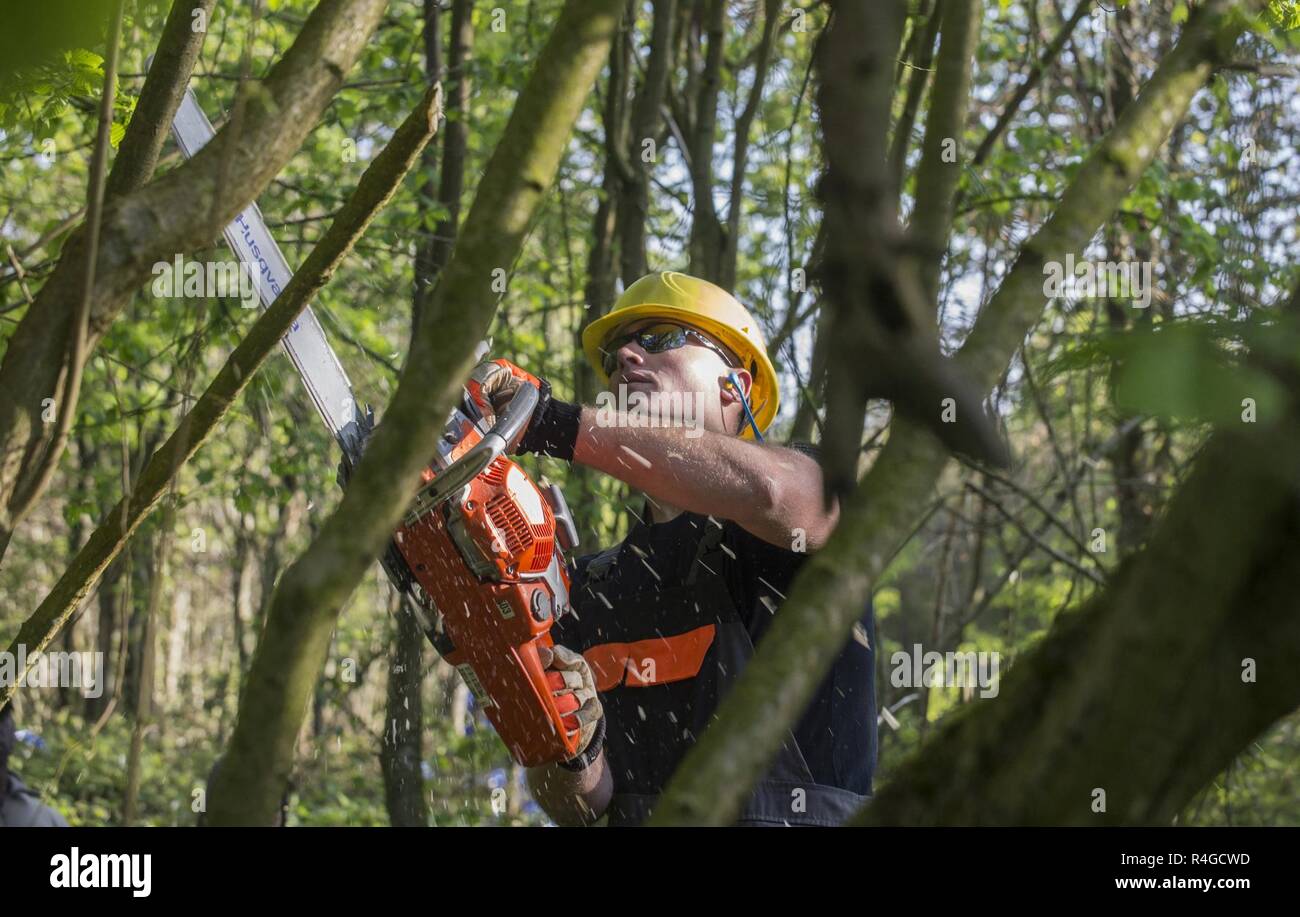 BOULOGNE SUR MER, France – U.S. Marine Corps Captain Gene Harb, a Defense POW/MIA Accounting Agency (DPAA) team leader, cuts downs tree branches to clear vegetation during a DPAA recovery mission in a forest near Boulogne Sur Mer, France on May 2, 2017. The DPAA team is in search of a U.S. Army Air Force Airman that tragically lost his life while flying his P-47D aircraft on October of 1943 during World War II. Stock Photo
