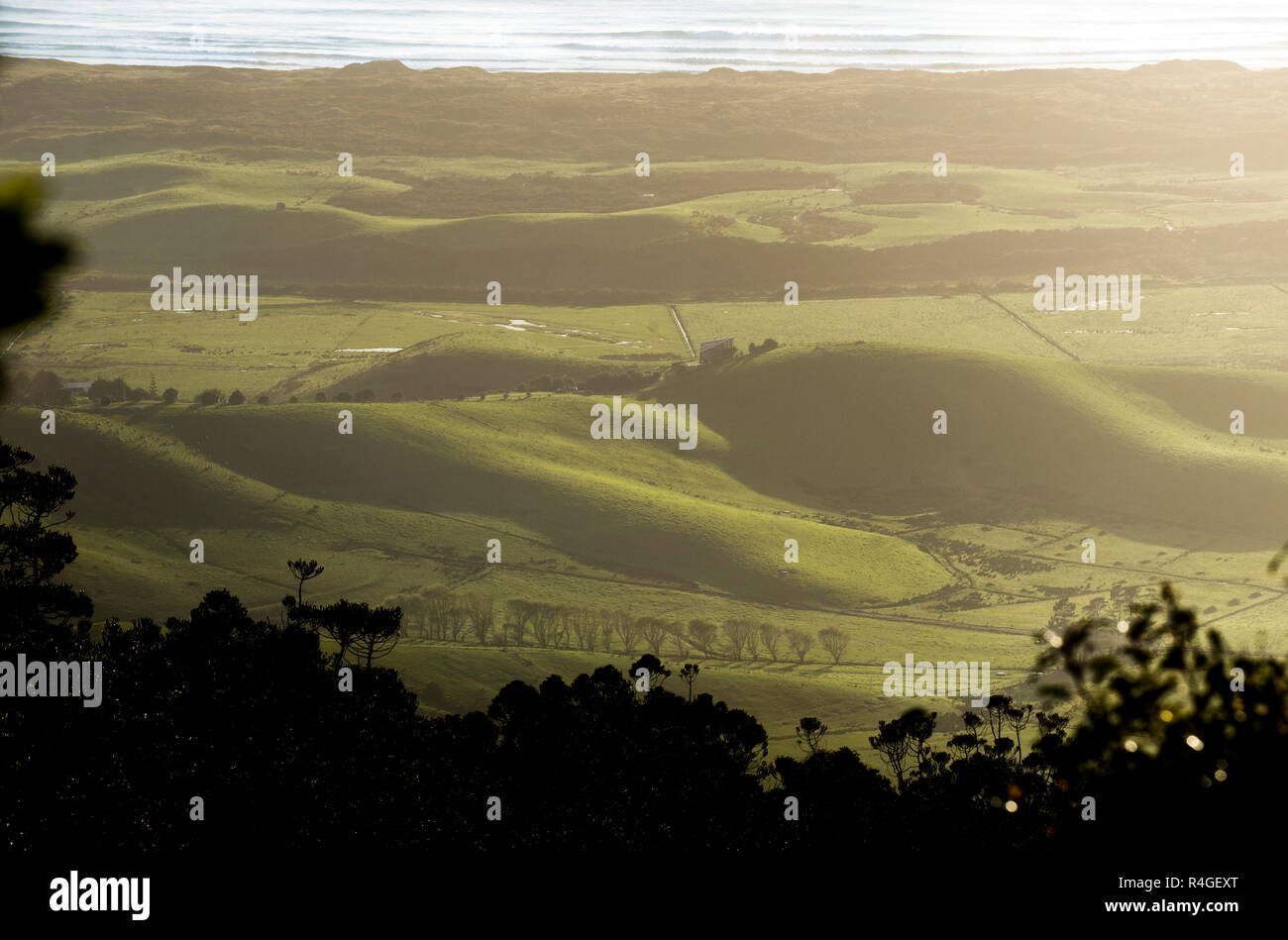 Whangarei Heads in the morning Stock Photo Alamy