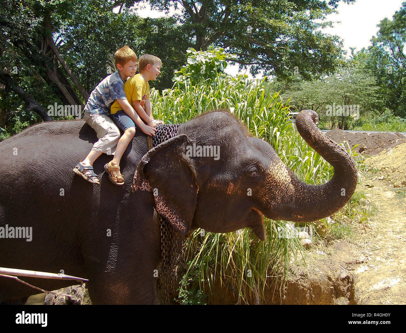 boys riding on the back of an elephant Stock Photo Alamy