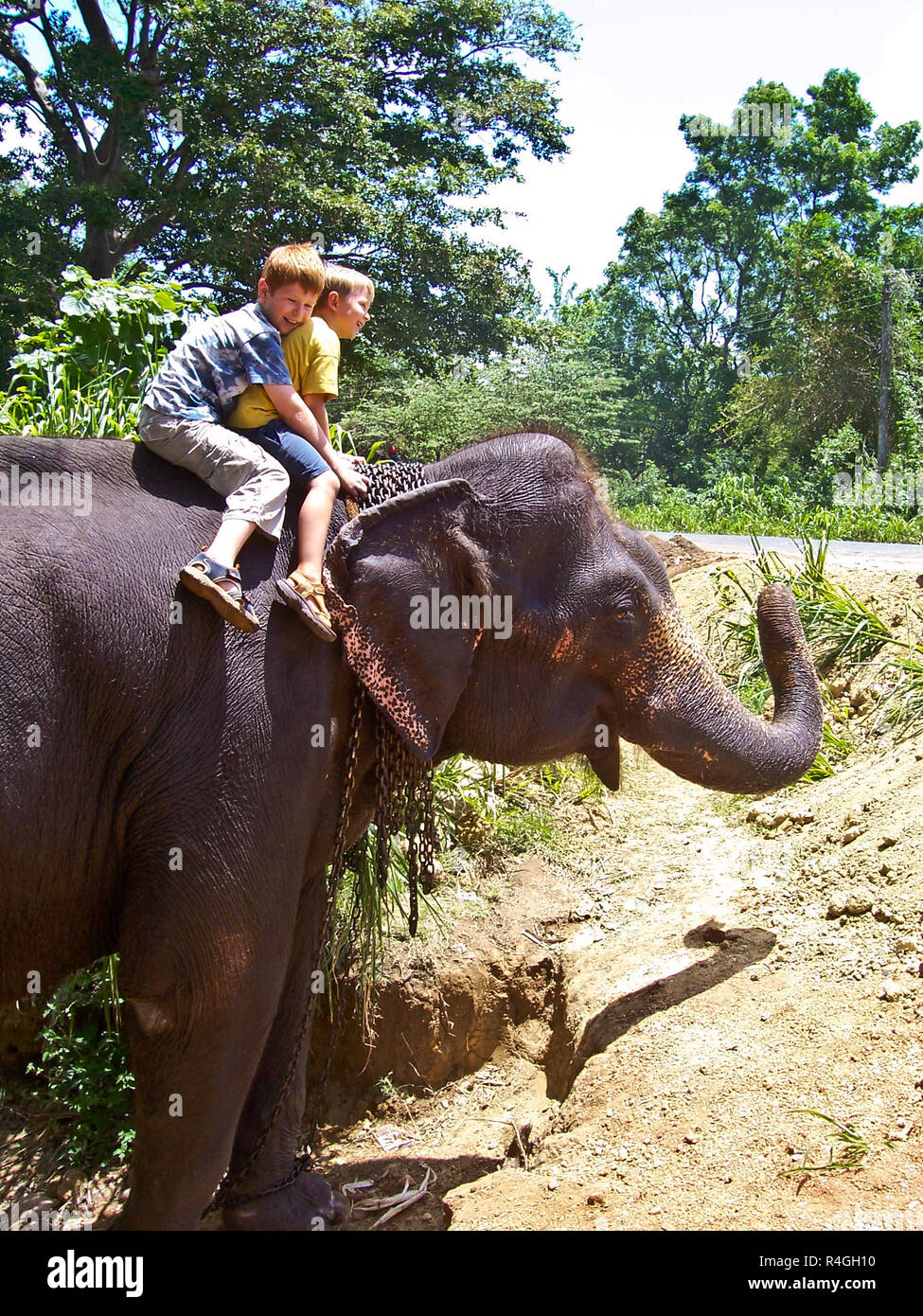 children riding on an elephant and having fun Stock Photo Alamy