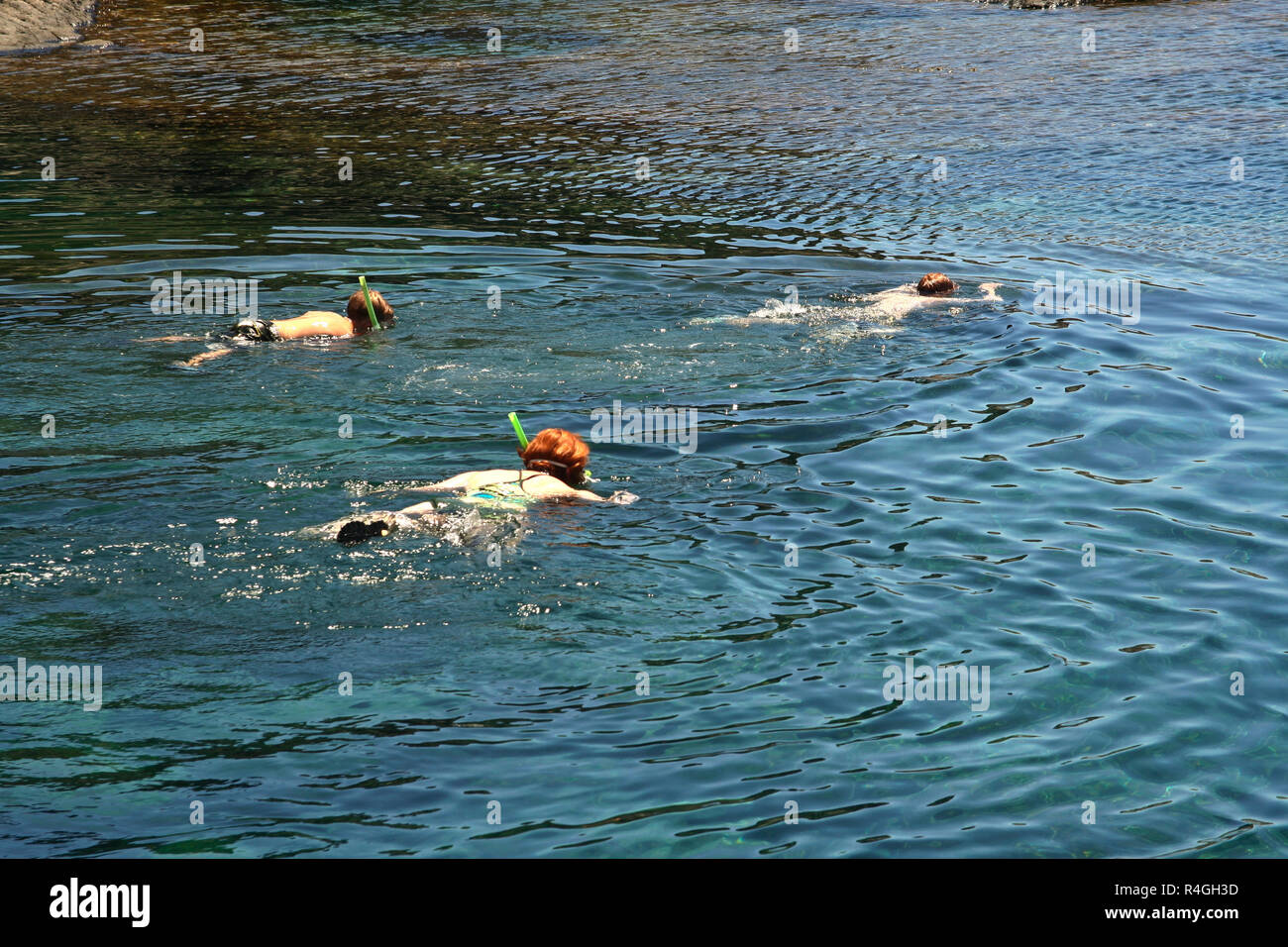 people snorkeling in a natural basin in Lanzarote Stock Photo Alamy