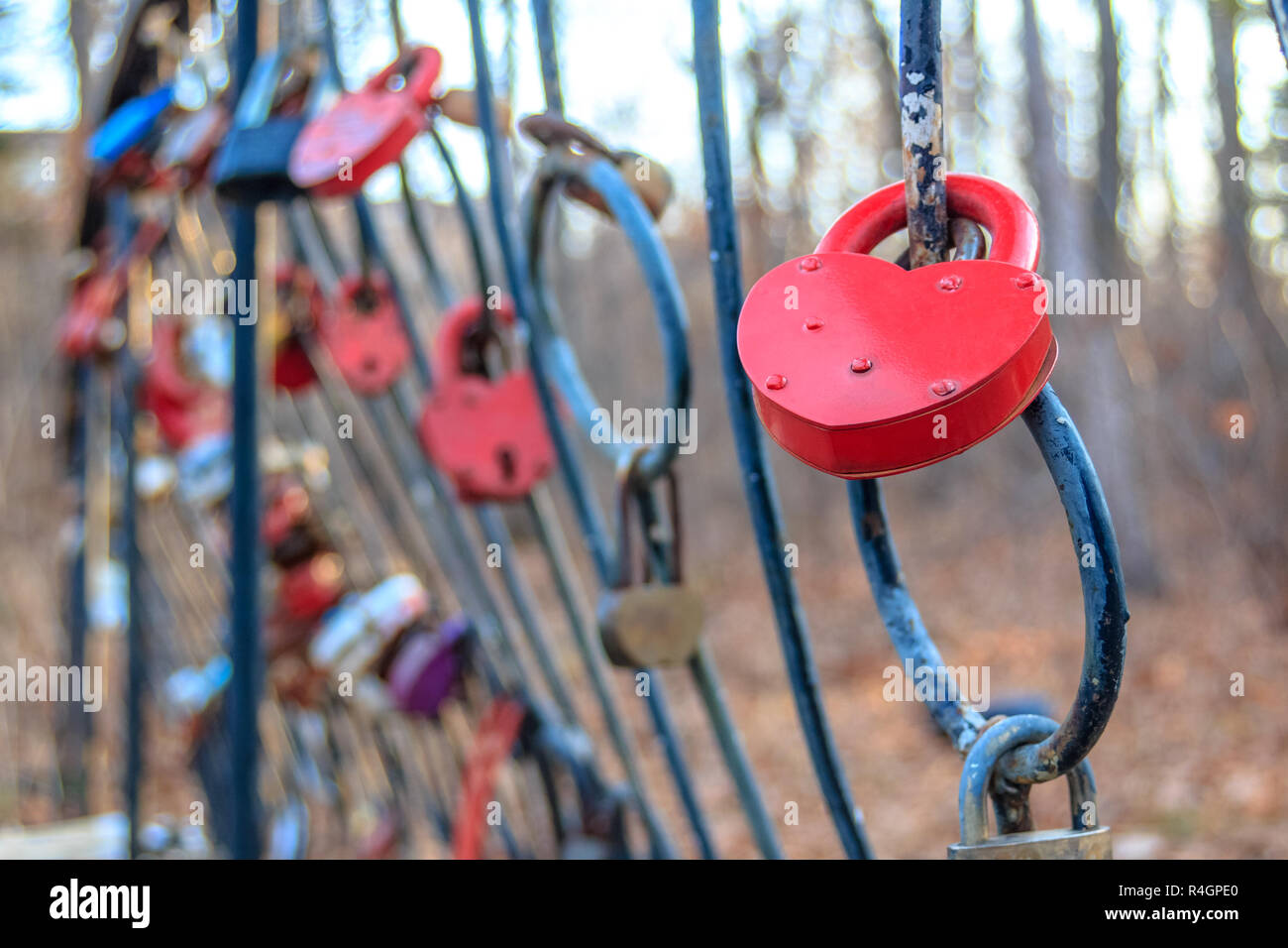 Padlock as a sign of eternal love newlyweds mounted on the bridge ...