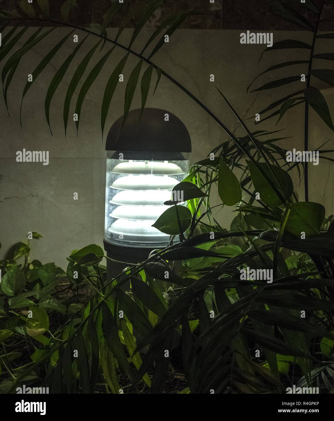 Modern garden lighting electrical halogen illuminator Stock Photo Alamy
