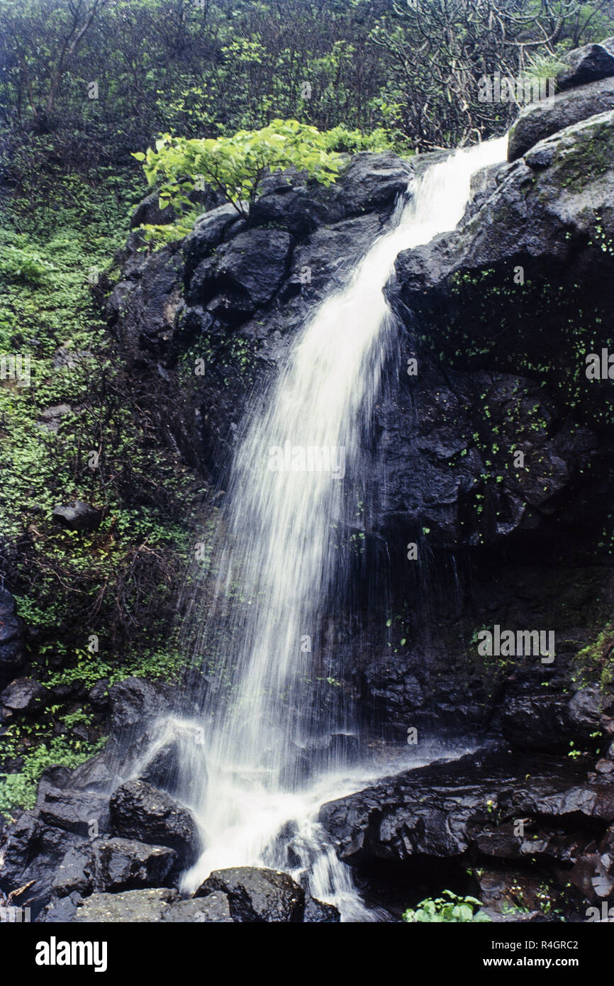 View of waterfall at Malshej Ghat, Maharashtra, India, Asia Stock Photo ...