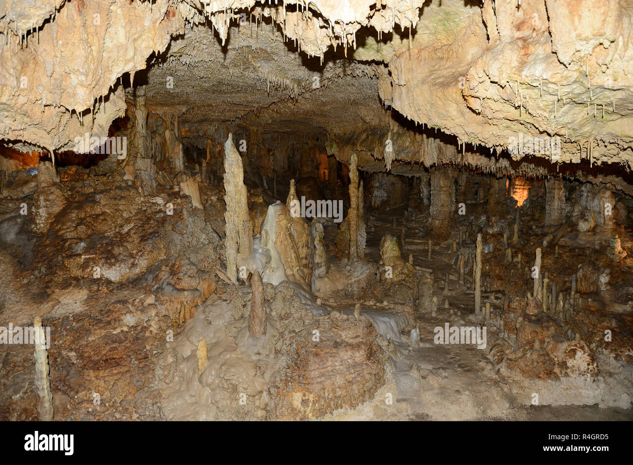 Stalactites and stalagmites in the König-Otto dripstone cave, Velburg, Upper Palatinate, Bavaria, Germany Stock Photo