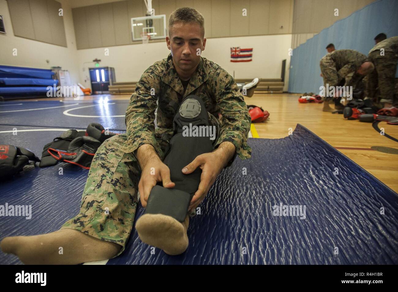 A U.S. Marine puts on protective equipment prior to a Marine Corps Martial Arts Instructors Course (MAIC) physical training session, Marine Corps Base Hawaii, Sept. 20, 2018. MAIC is a course that ensures Marines can properly instruct others so they can advance their belt level. Stock Photo