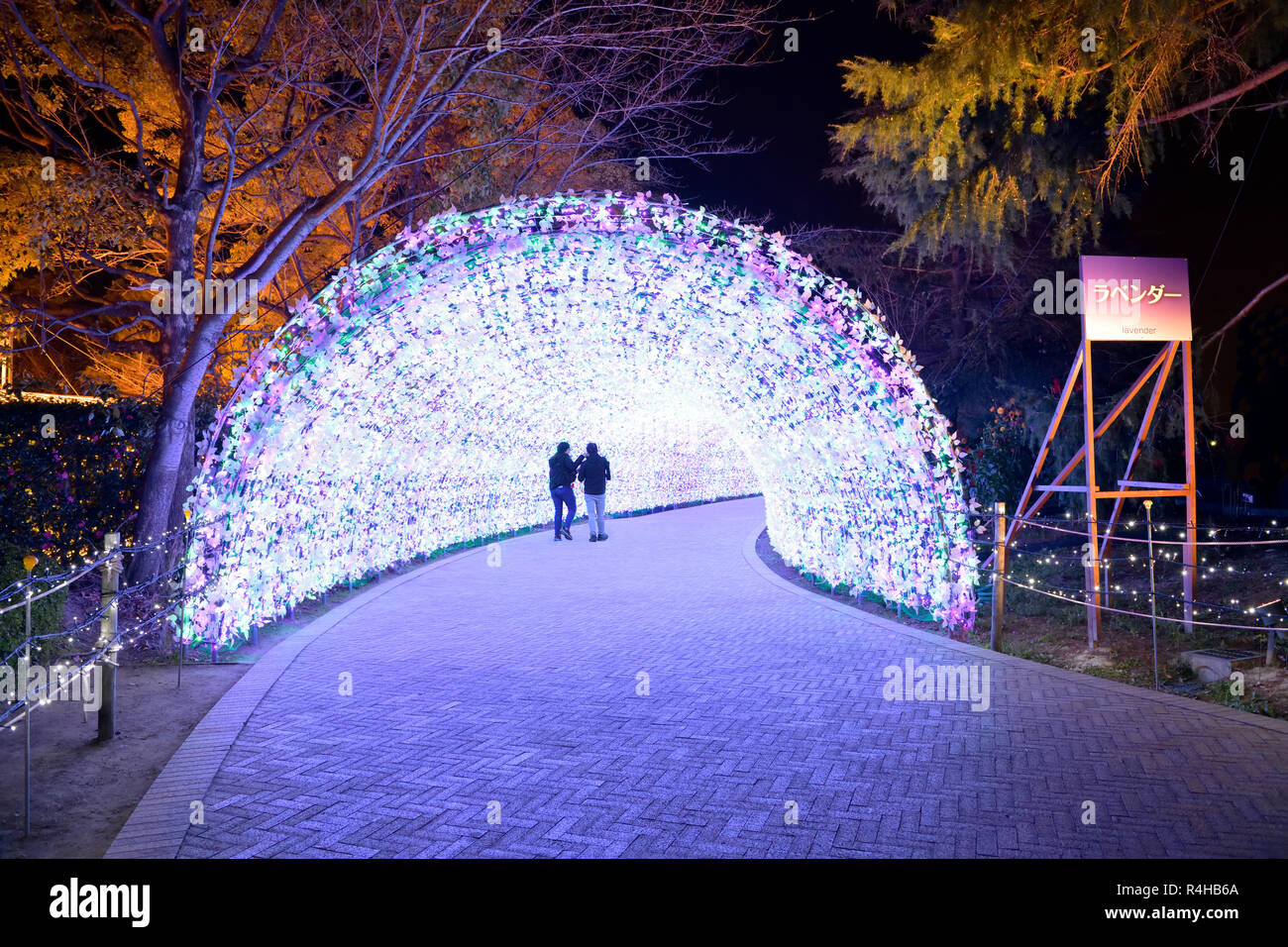 Nabana No Sato Winter Illumination. Lavender LED light tunnel. Attractions of Nagoya. Stock Photo