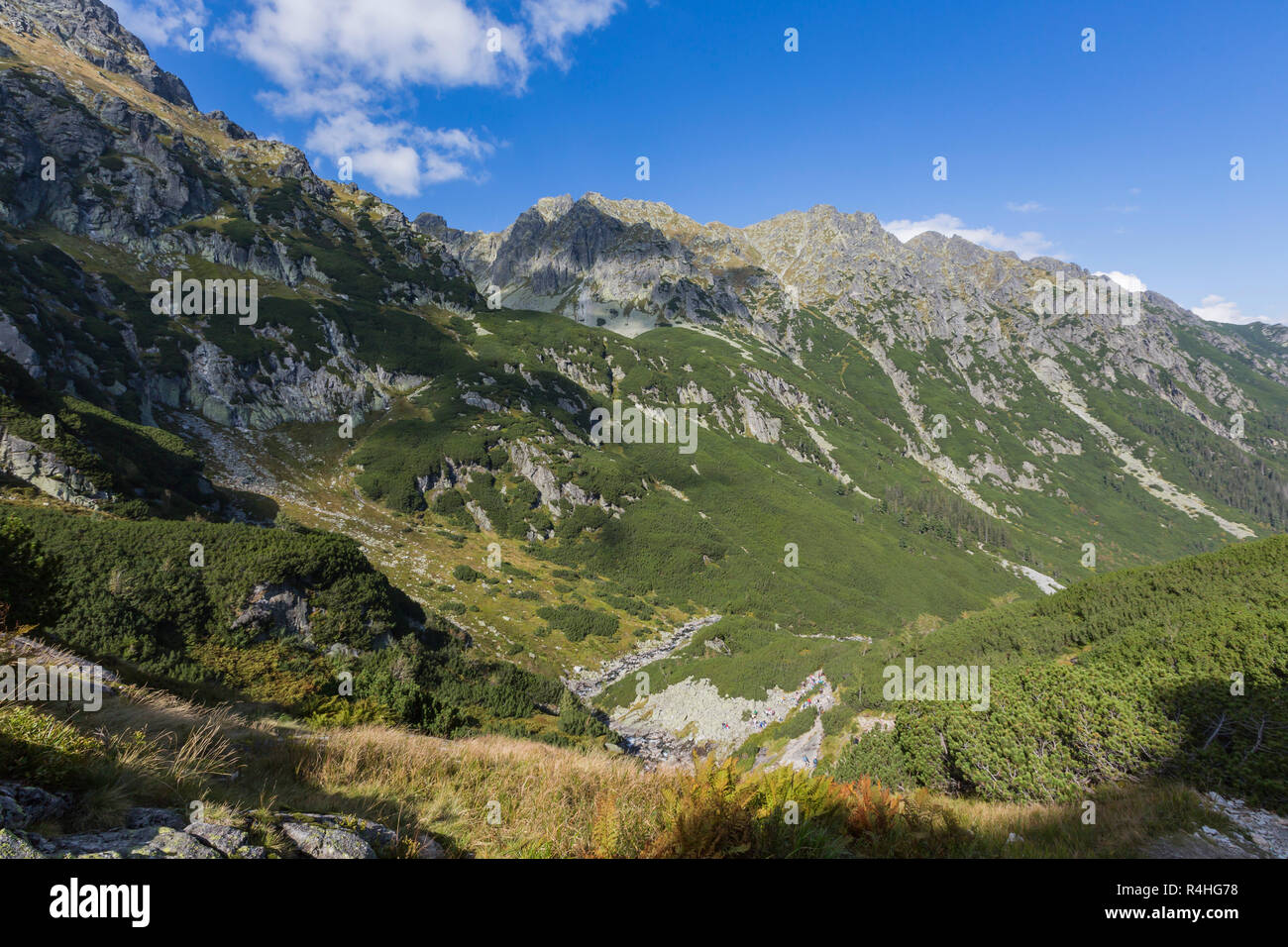 Poland Tatra National Park in Tatra Mountains, part of Carpathian Mountains. UNESCO Biosphere
