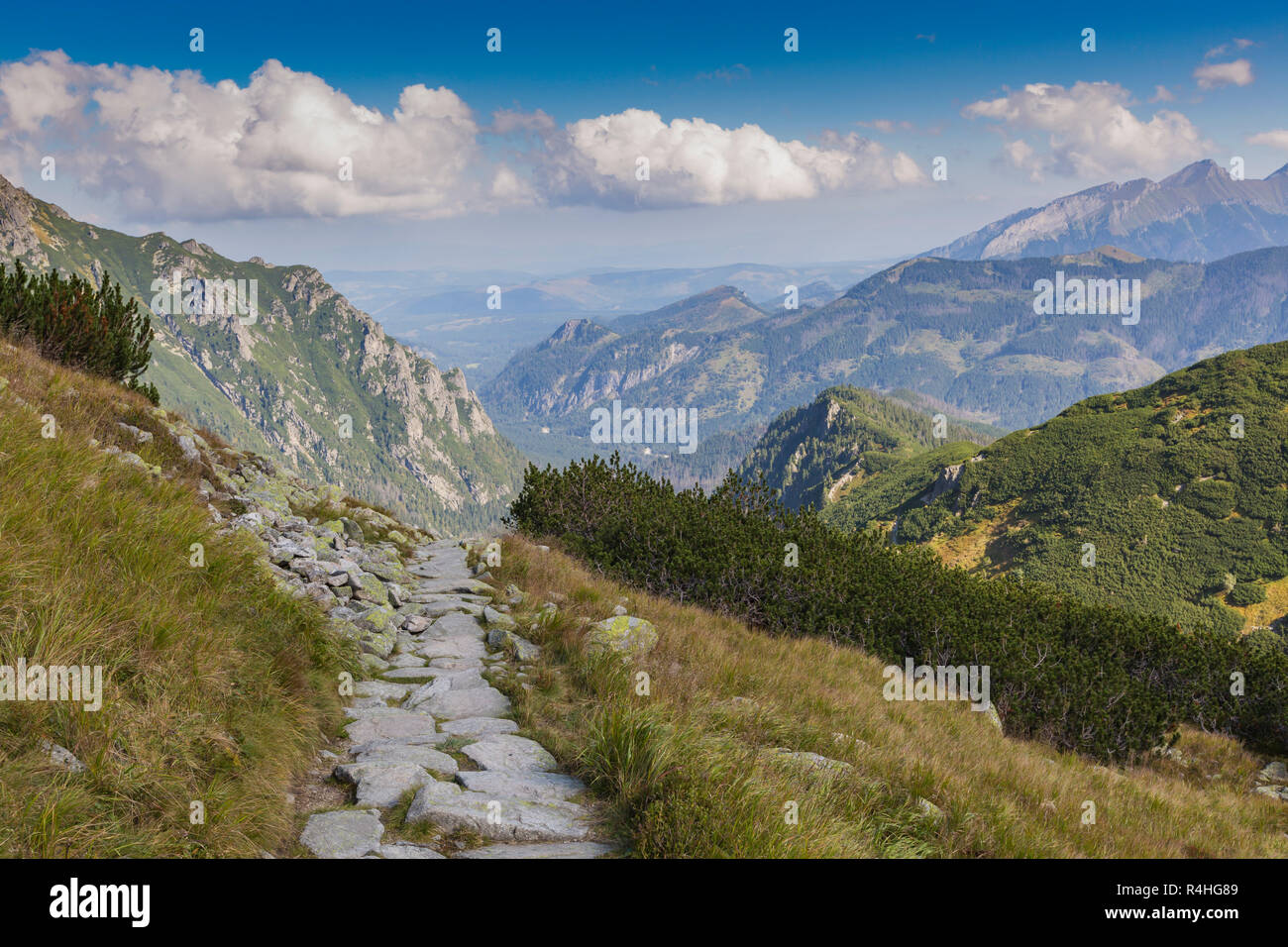 Poland Tatra National Park in Tatra Mountains, part of Carpathian Mountains. UNESCO Biosphere