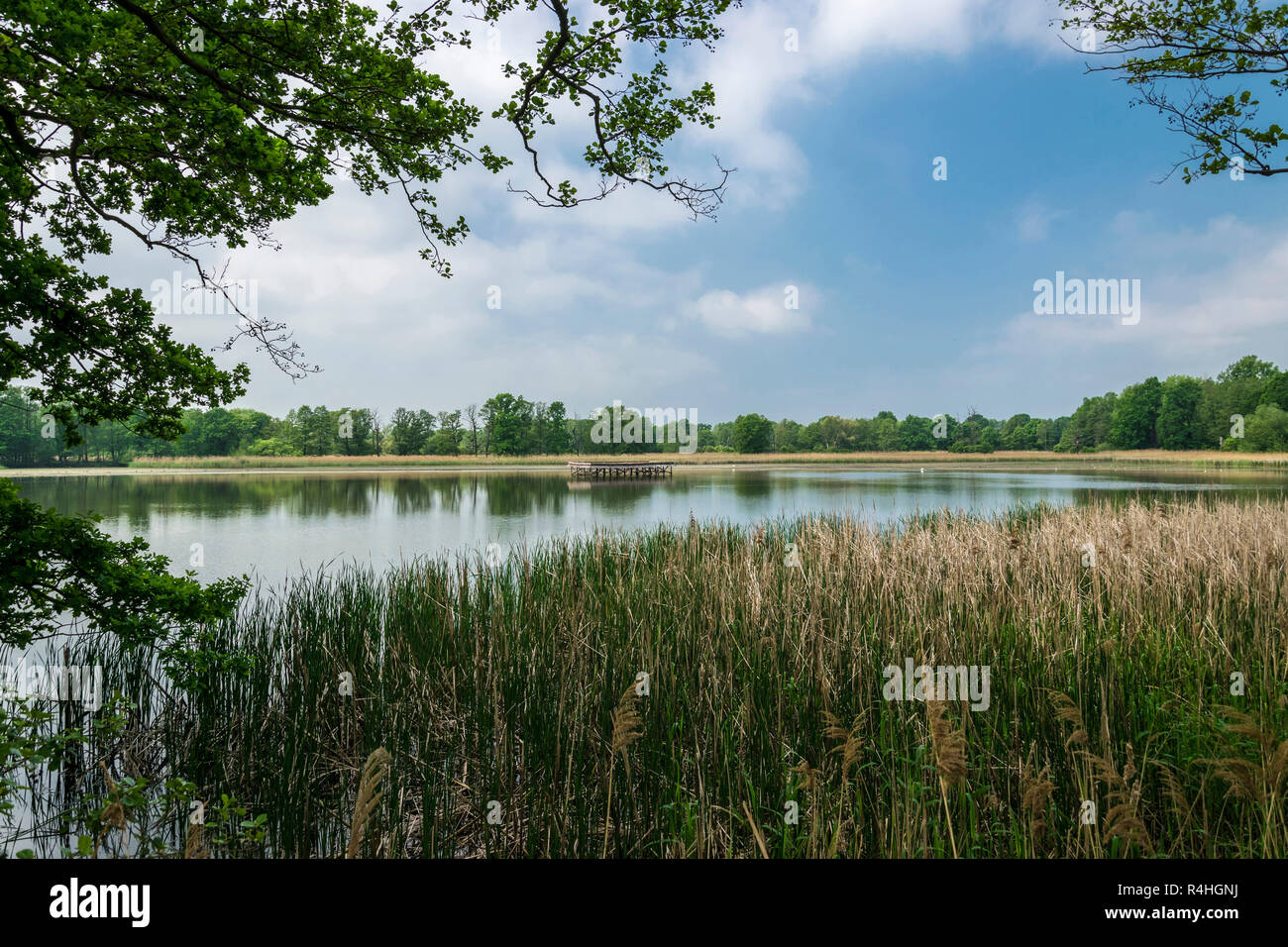 Biosphaerenreservat oberlausitzer heide und teich hires stock