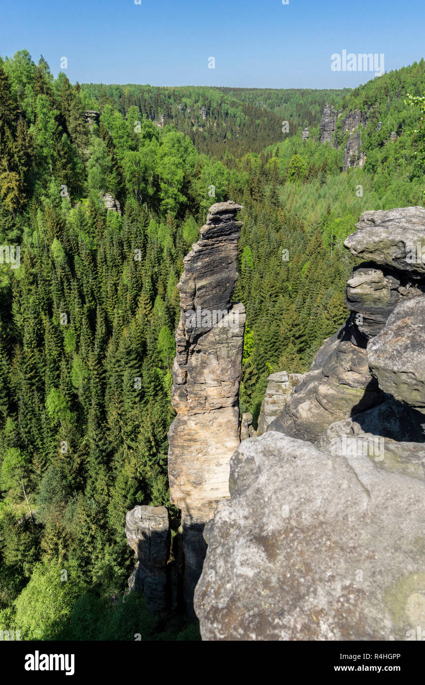 Elbsandstein, Dürrebielegrund with climbing rock Dürrebielenadel in the Bielatal, Dürrebielegrund mit Kletterfels Dürrebielenadel im Bielatal Stock Photo