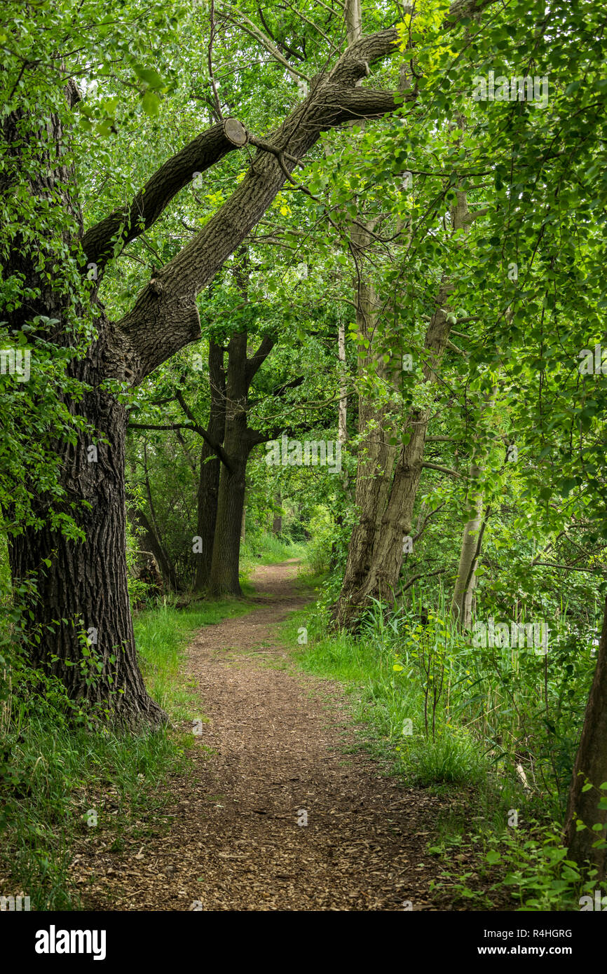 Oberlausitzer Teichlandschaft, Unesco biosphere reserve good tanner