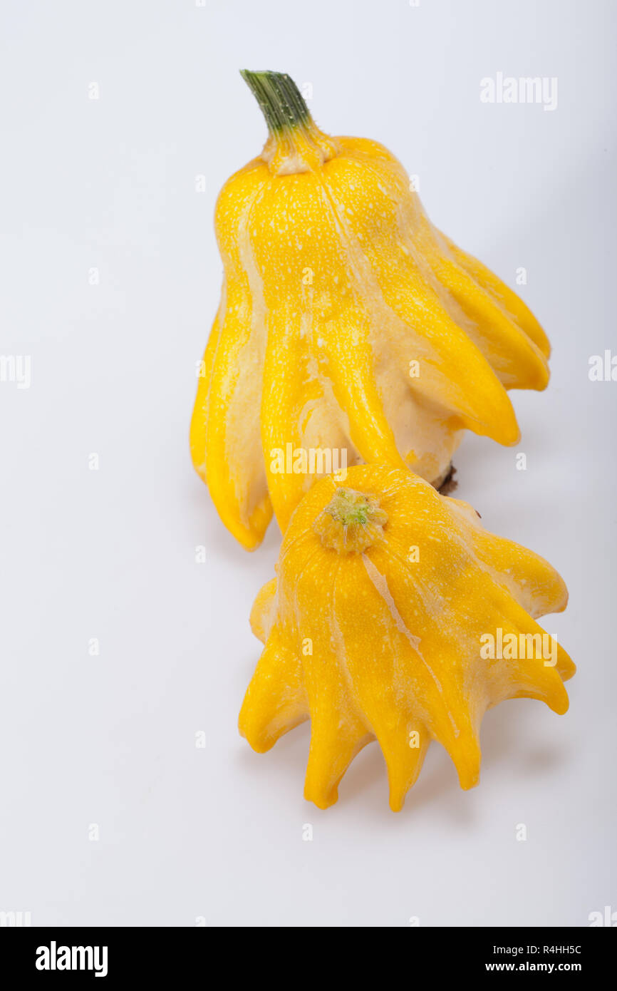 Decorative pumpkin isolated on white background Stock Photo - Alamy