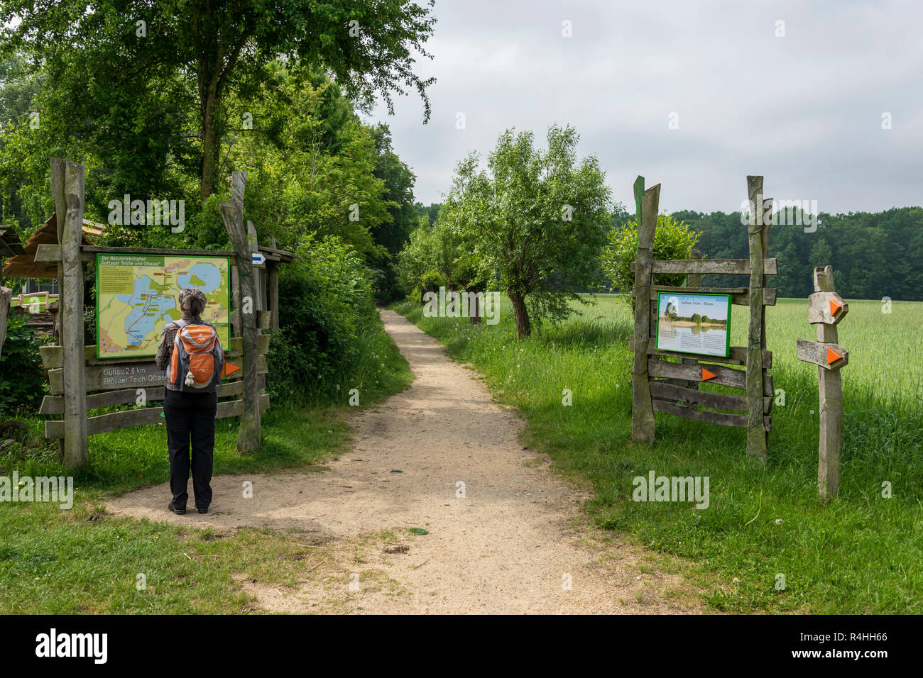 Oberlausitzer Heide Und Teichlandschaft Biosphere Reserve Stock