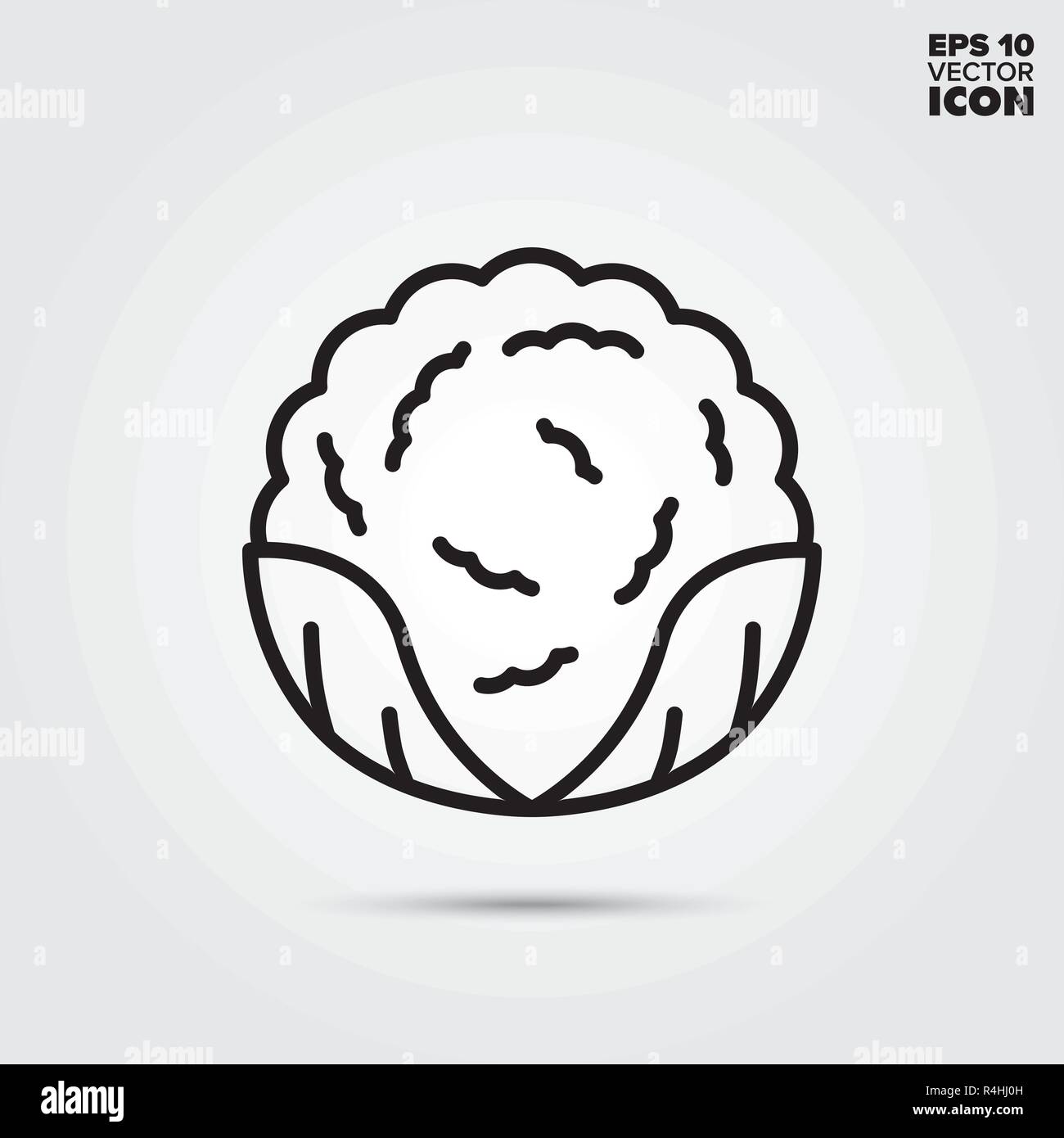 Cauliflower cabbage line icon. Healthy vegetable vector symbol Stock ...