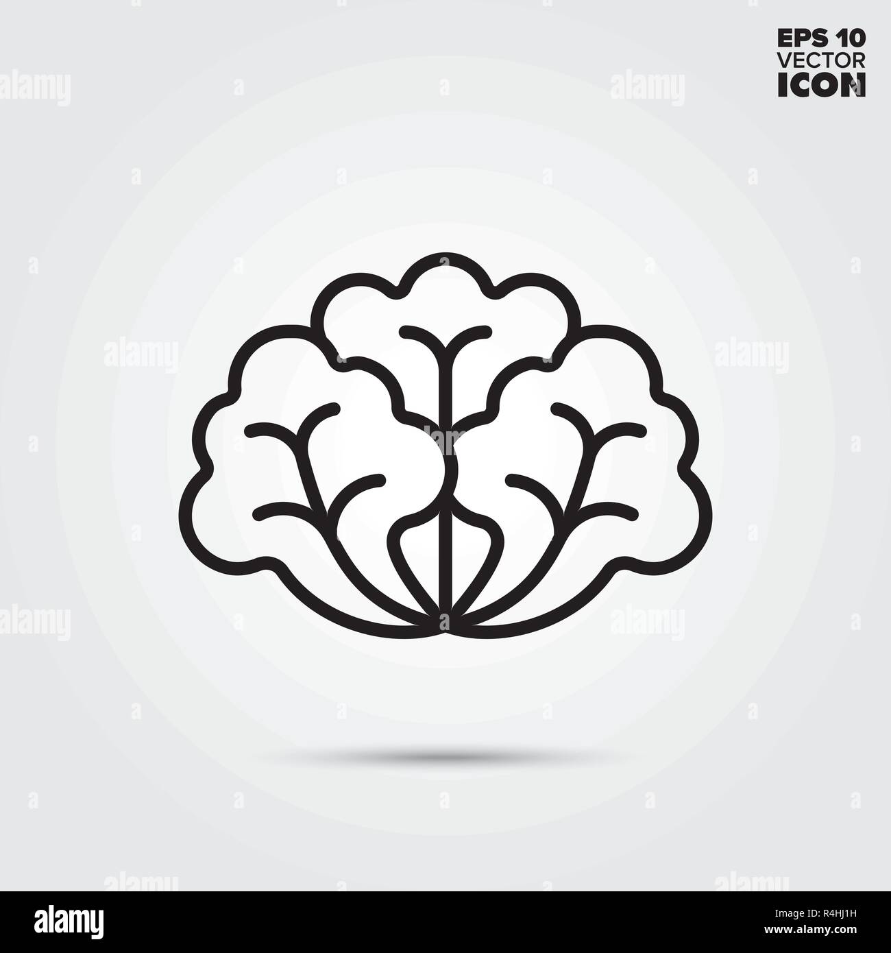 Lettuce line icon. Healthy vegetable vector symbol Stock Vector Image ...