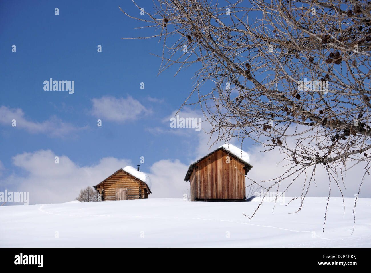 Isolated wood mountain house cabin hut covered by snow Stock Photo - Alamy