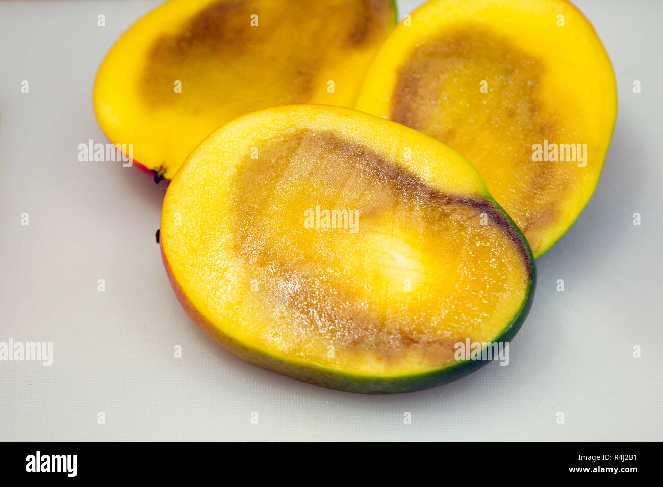 Rotten mango. Overripe Fruit on a white background.Isolated