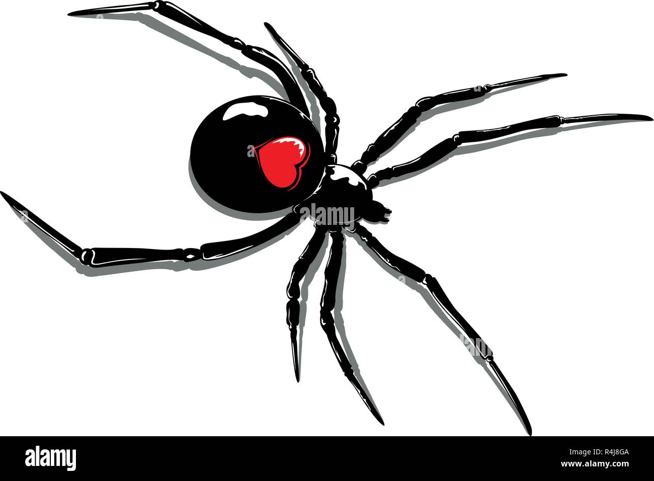 illustration of a spider with a heart on its back Stock Vector