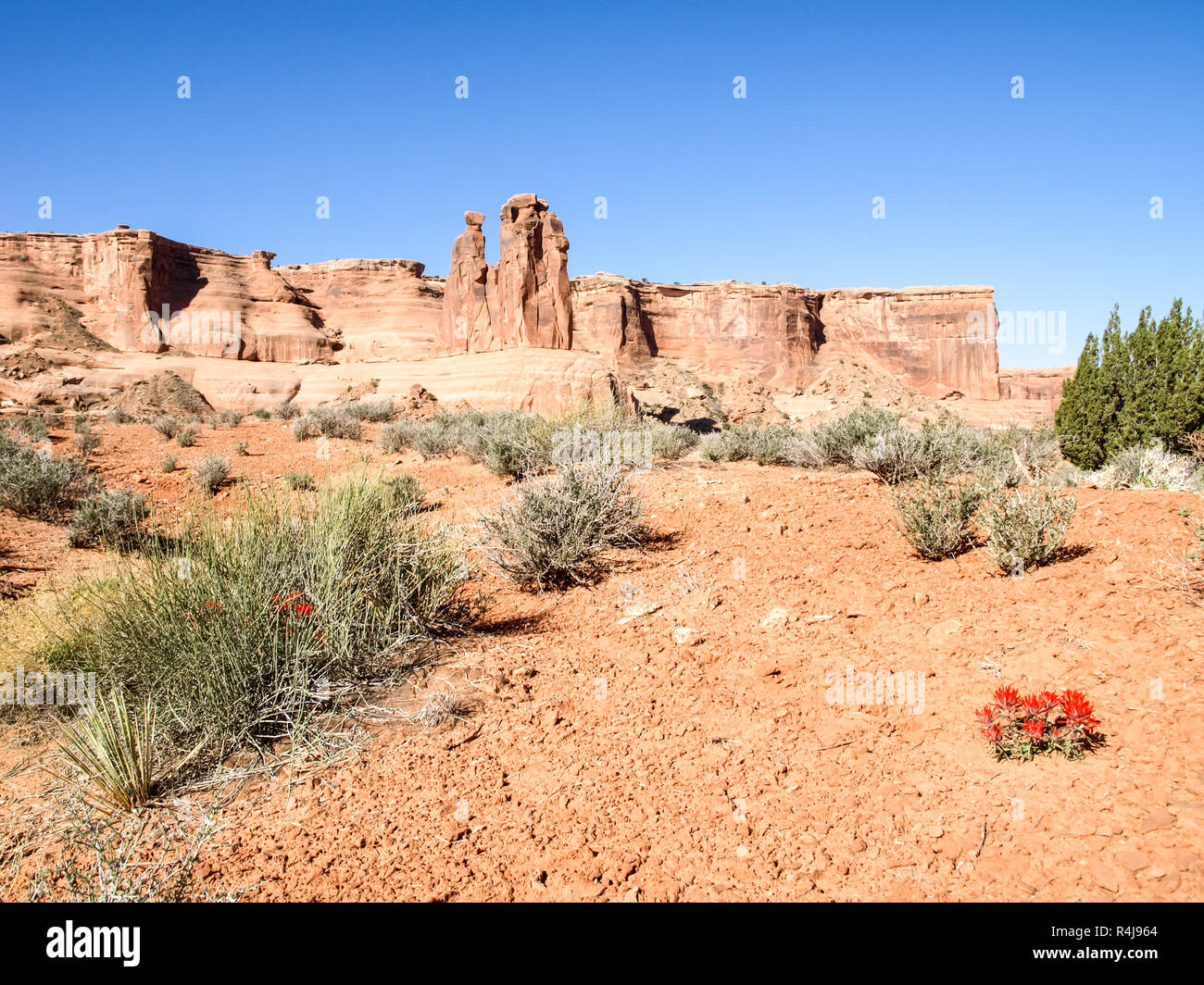 Nature National Park, Utah. The landscape and rocks. Roads and p Stock ...