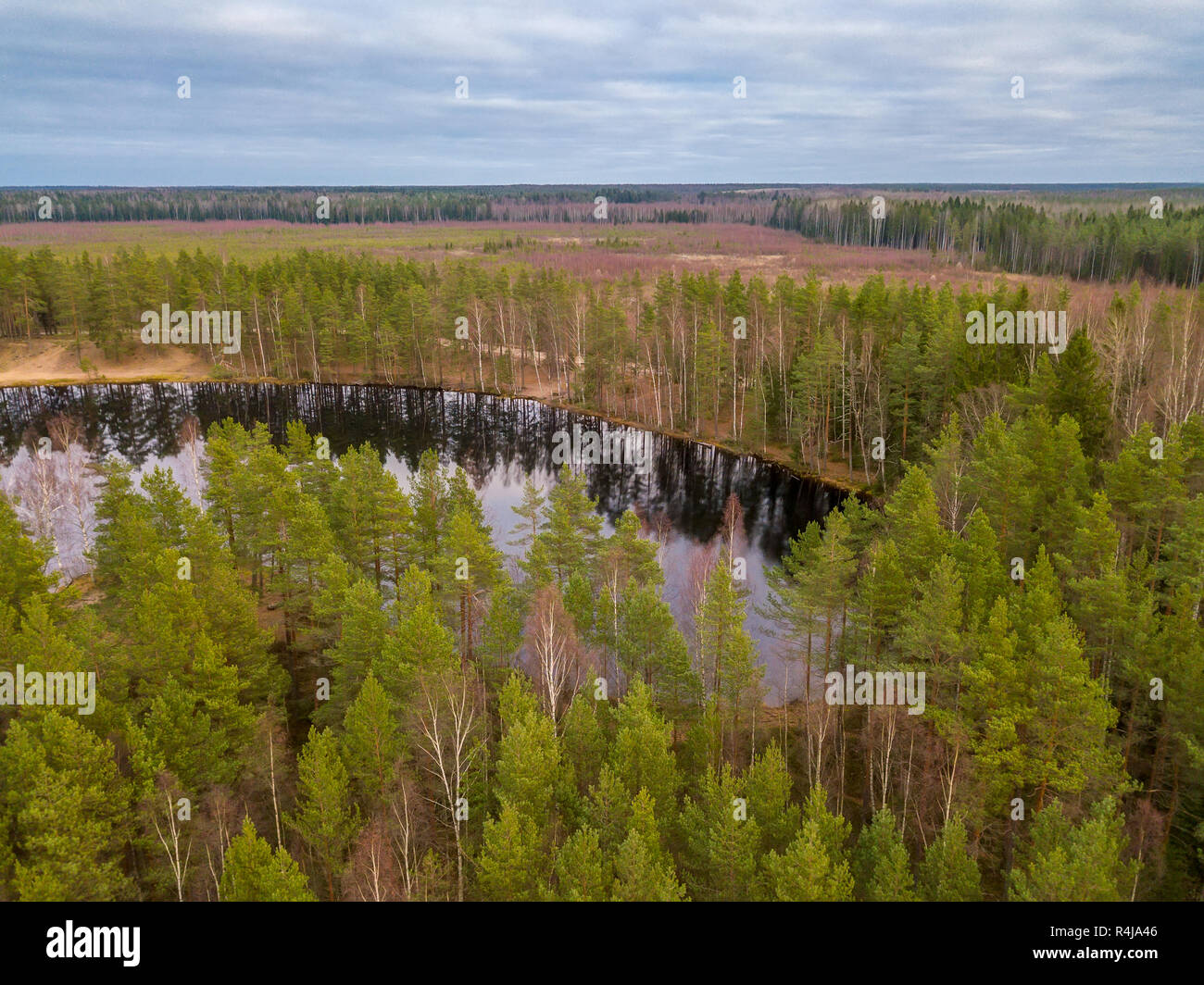 Aerial view lake among trees hi-res stock photography and images - Alamy