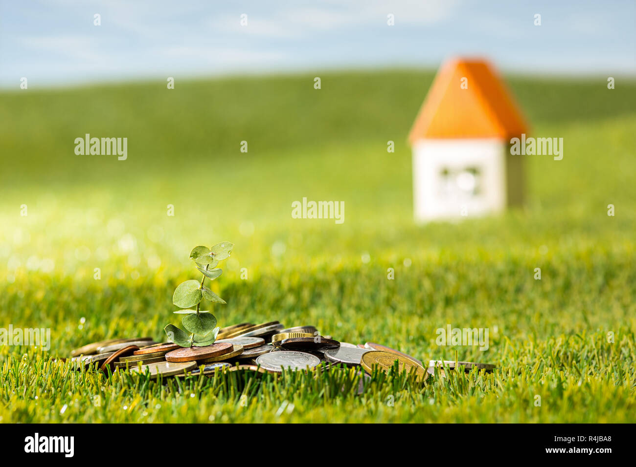 Plant growing in Coins glass jar for money on green grass Stock Photo ...
