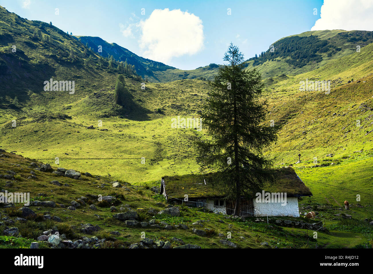 Beautiful view of Henne mountain , trail to Wildsee lake in Austrian Alps from Larchfilzkogelof gondola lift station, Fieberbrunn, Tyrol, Austria Stock Photo