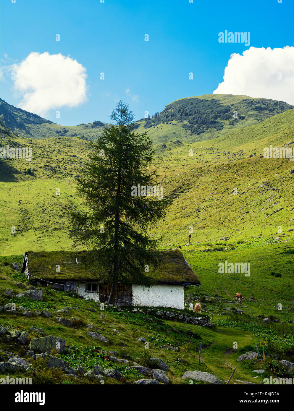 Beautiful view of Henne mountain , trail to Wildsee lake in Austrian Alps from Larchfilzkogelof gondola lift station, Fieberbrunn, Tyrol, Austria Stock Photo