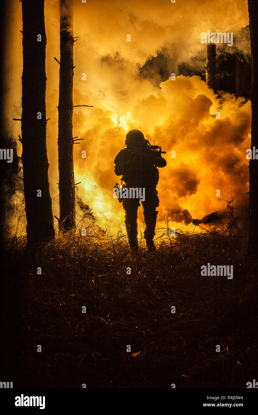 War in the forest Stock Photo - Alamy