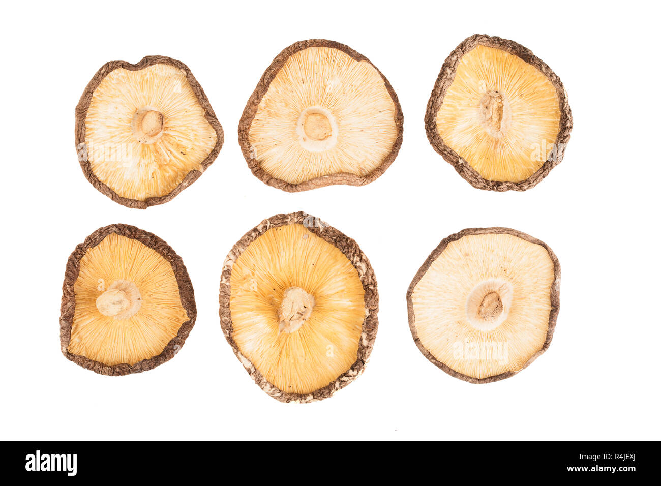 Dry Shiitake Mushrooms Isolated Stock Photo Alamy