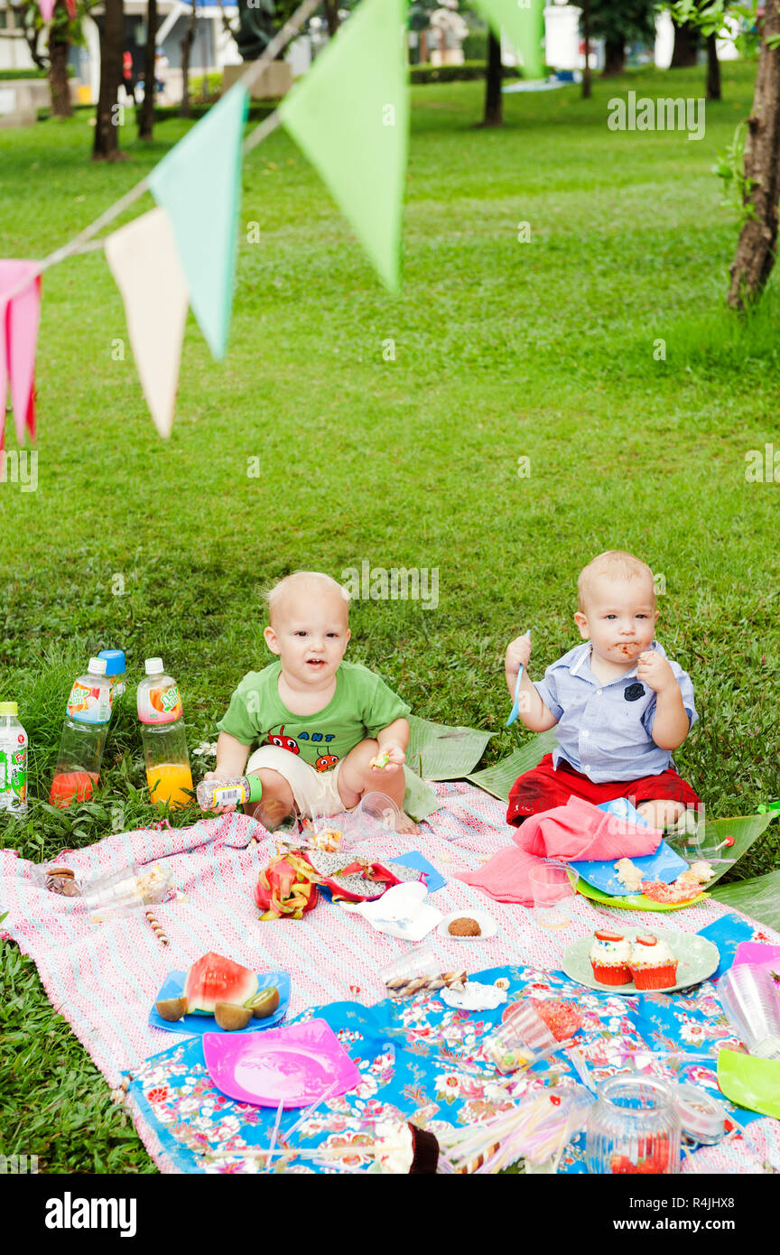 Baby boys at birthday picnic Stock Photo Alamy