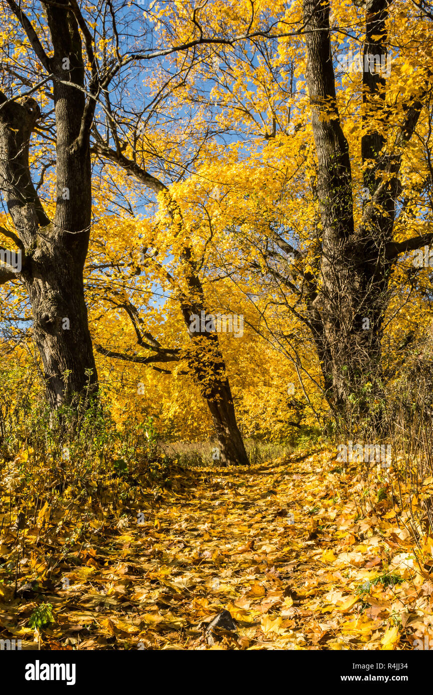Trail To Dover Stone Church Stock Photo Alamy