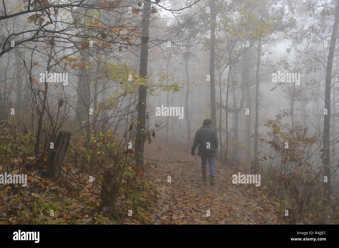 Signal Hill, Mount Magazine, Arkansas, highest point in Arkansas Stock