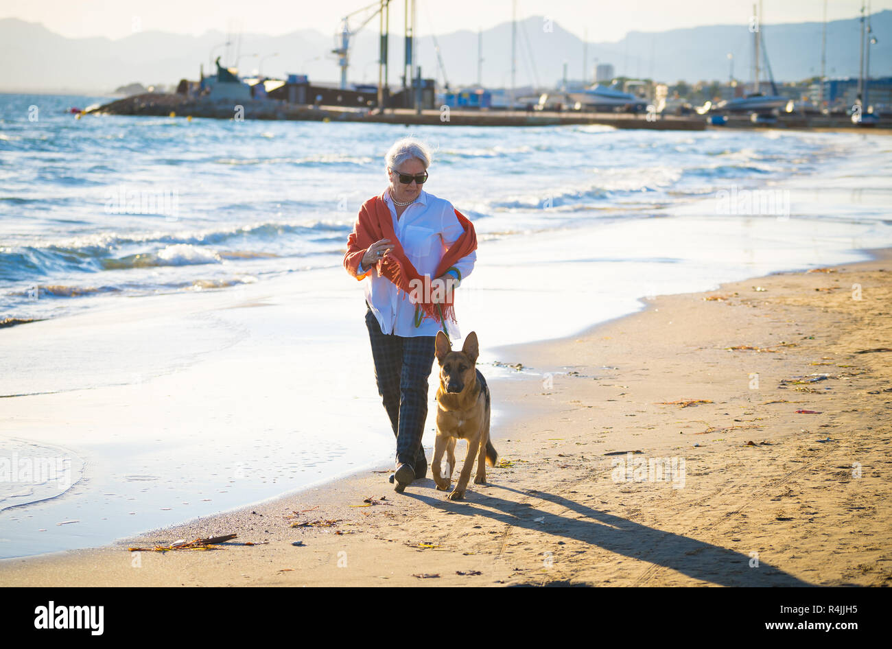 Beautiful retired older woman and pet german shepard dog walking along the shore sea ocean on beach in Companionship Benefits of animals Keeping activ Stock Photo