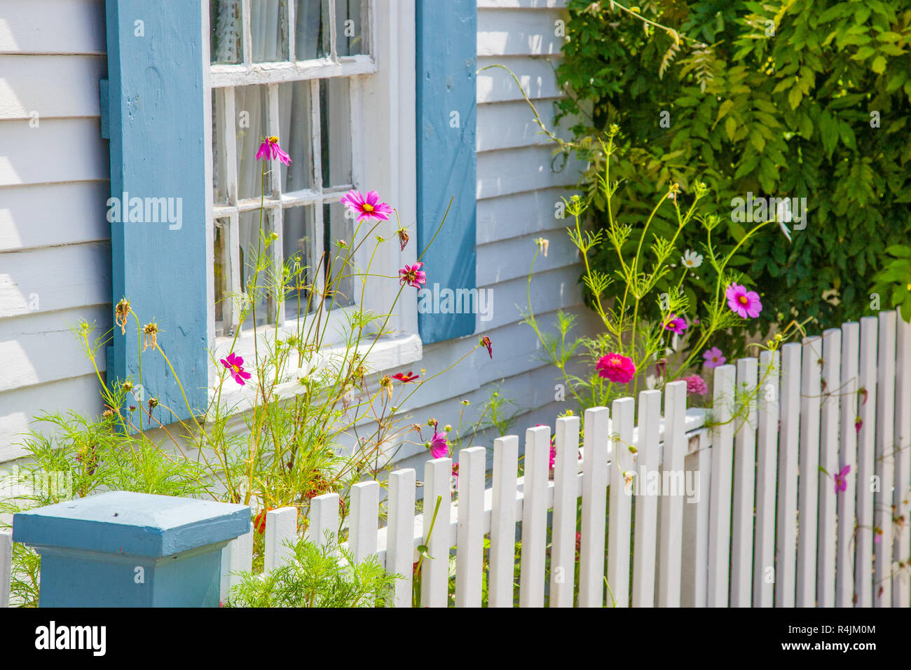 Flowers and a white picket fence in Rockport, MA Stock Photo